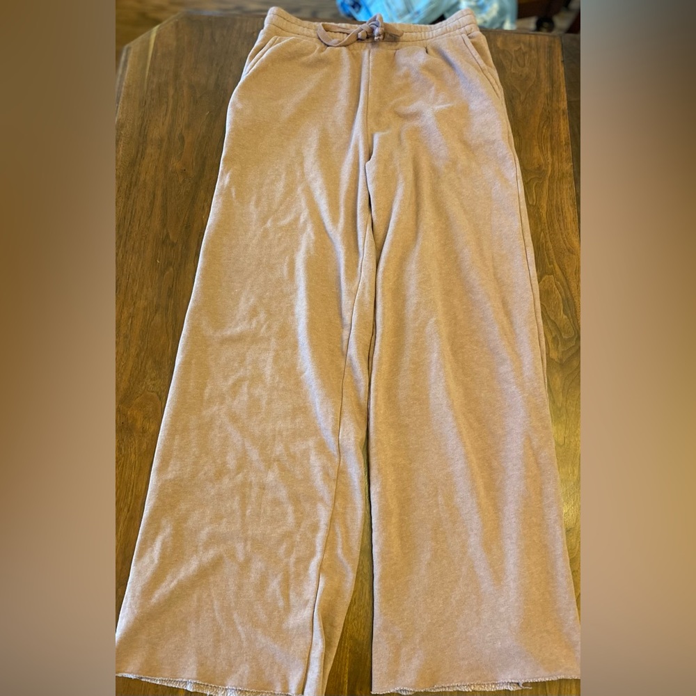 American Eagle Skater Sweat Pants